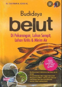 BUDIDAYA BELUT