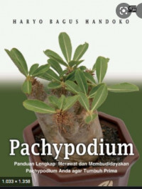 PACHYPODIUM