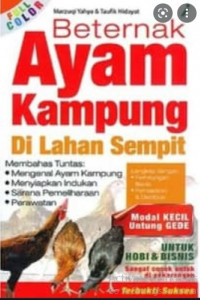 BETERNAK AYAM KAMPUNG DI LAHAN SEMPIT